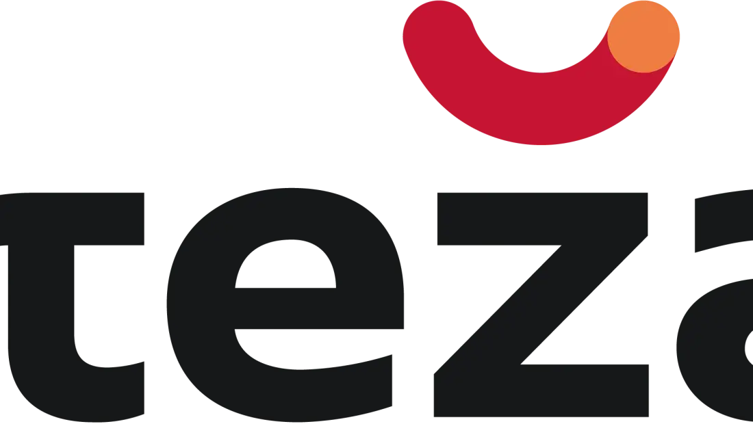 Steza logo